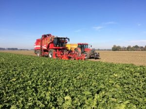 Grimme Rexor 02