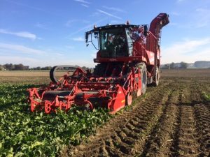 Grimme Rexor 06