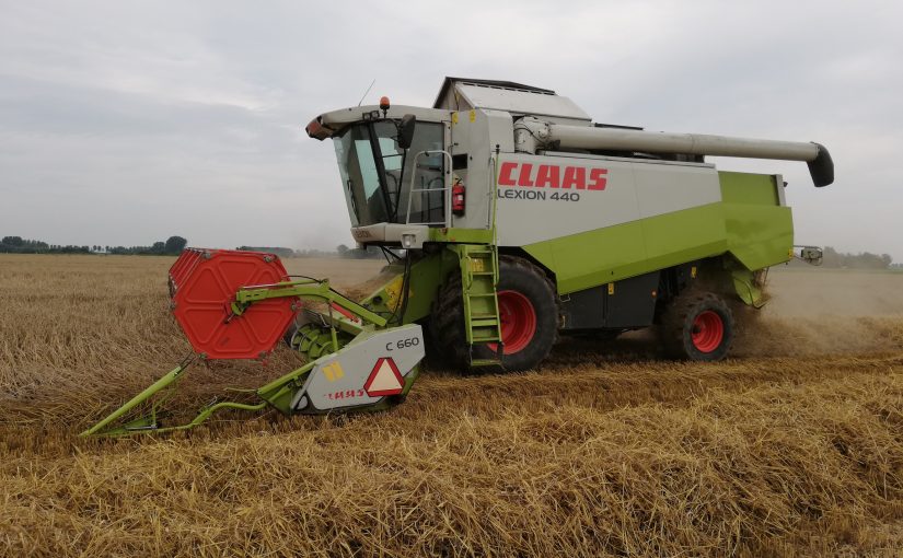 Gebruikte Claas Lexion